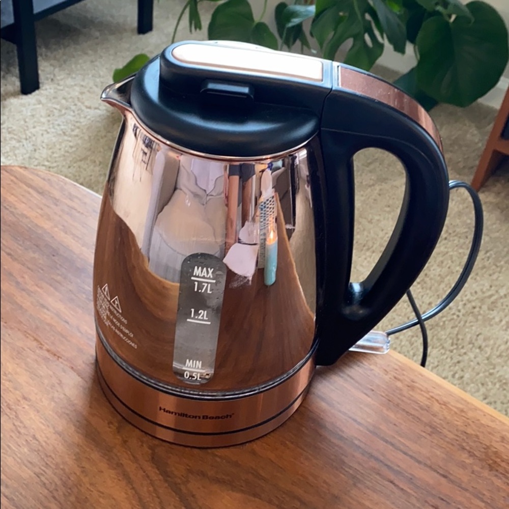 Electric water kettle